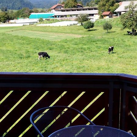 Apartma Julia Spodnje Gorje Exterior foto