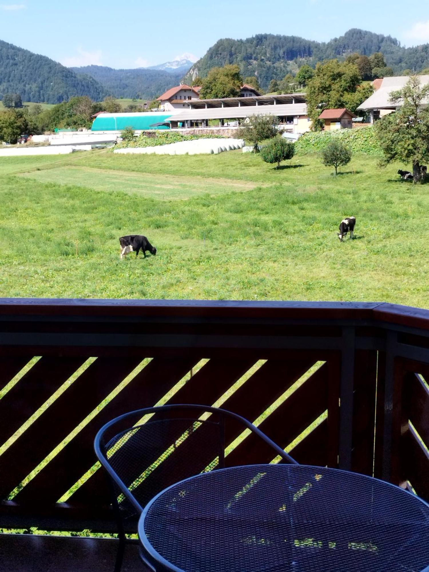 Apartma Julia Spodnje Gorje Exterior foto